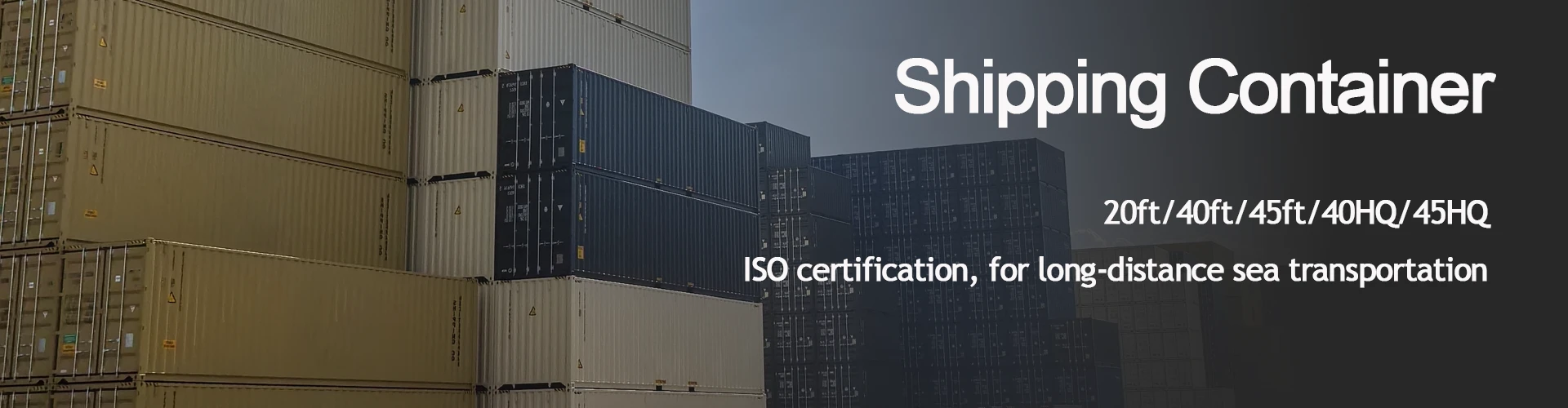 Container de transport standard